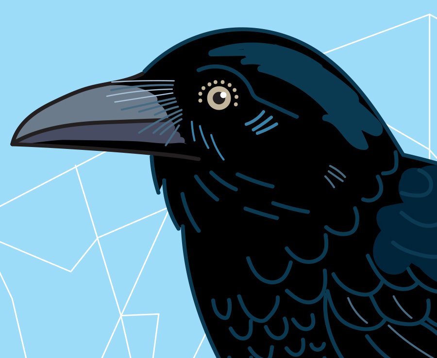 Crow