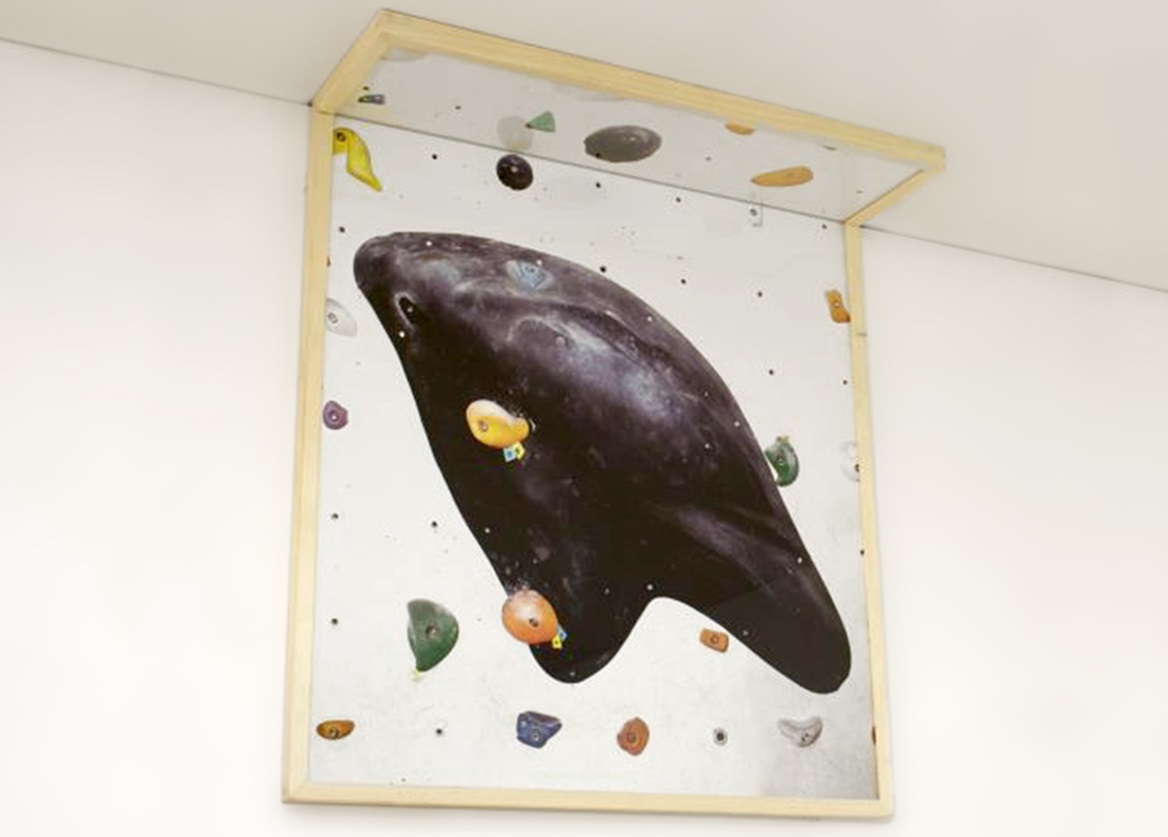 Noël Loozen, Black dolphin and the little cornerstones, 2014