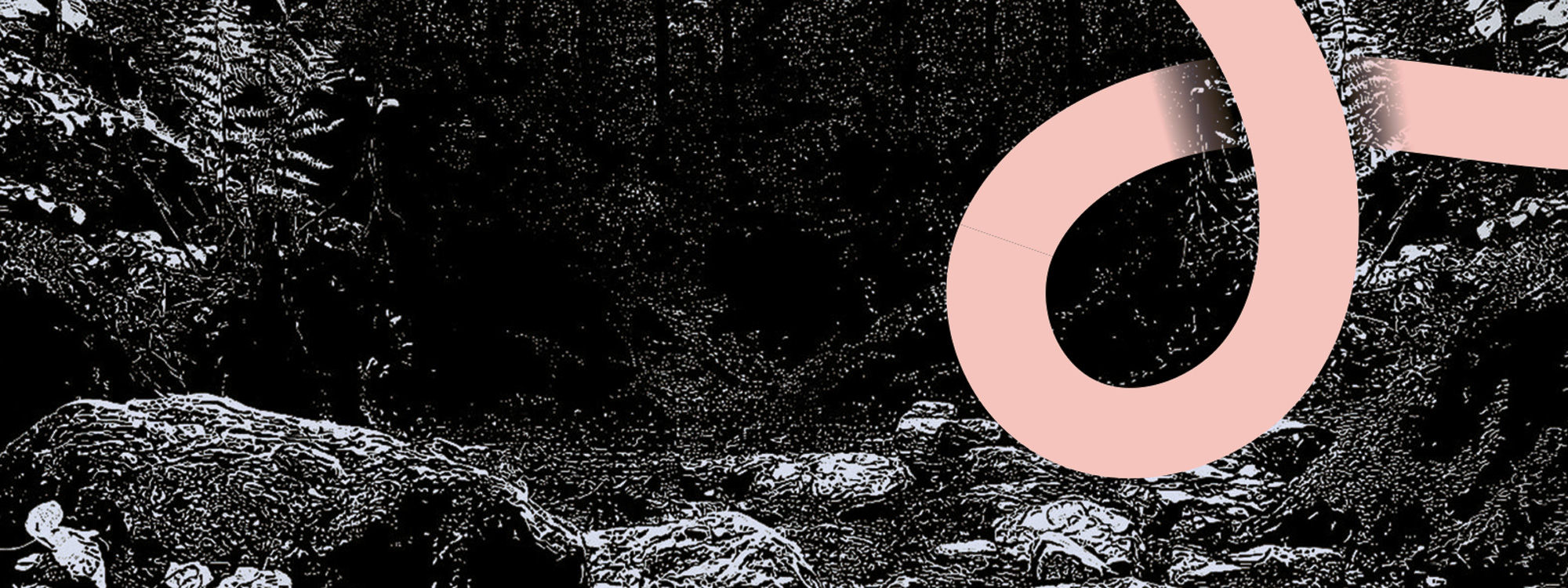 _zwartwit-header.jpg
