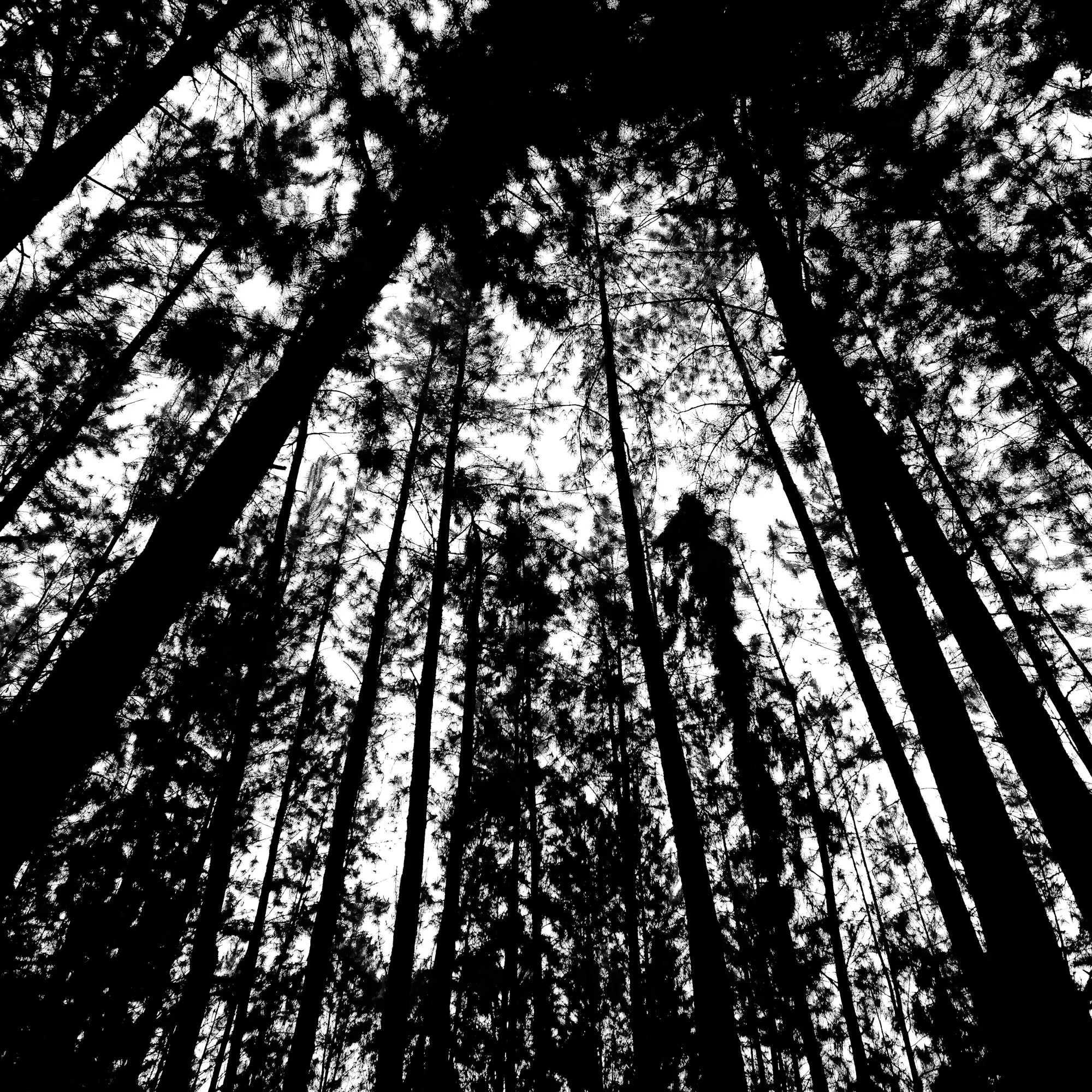 _MG_1630.jpg