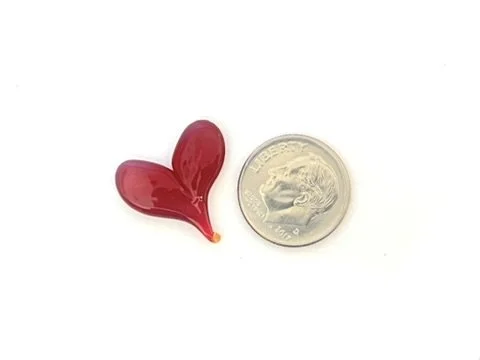 Sunset Coral with Dime.JPEG