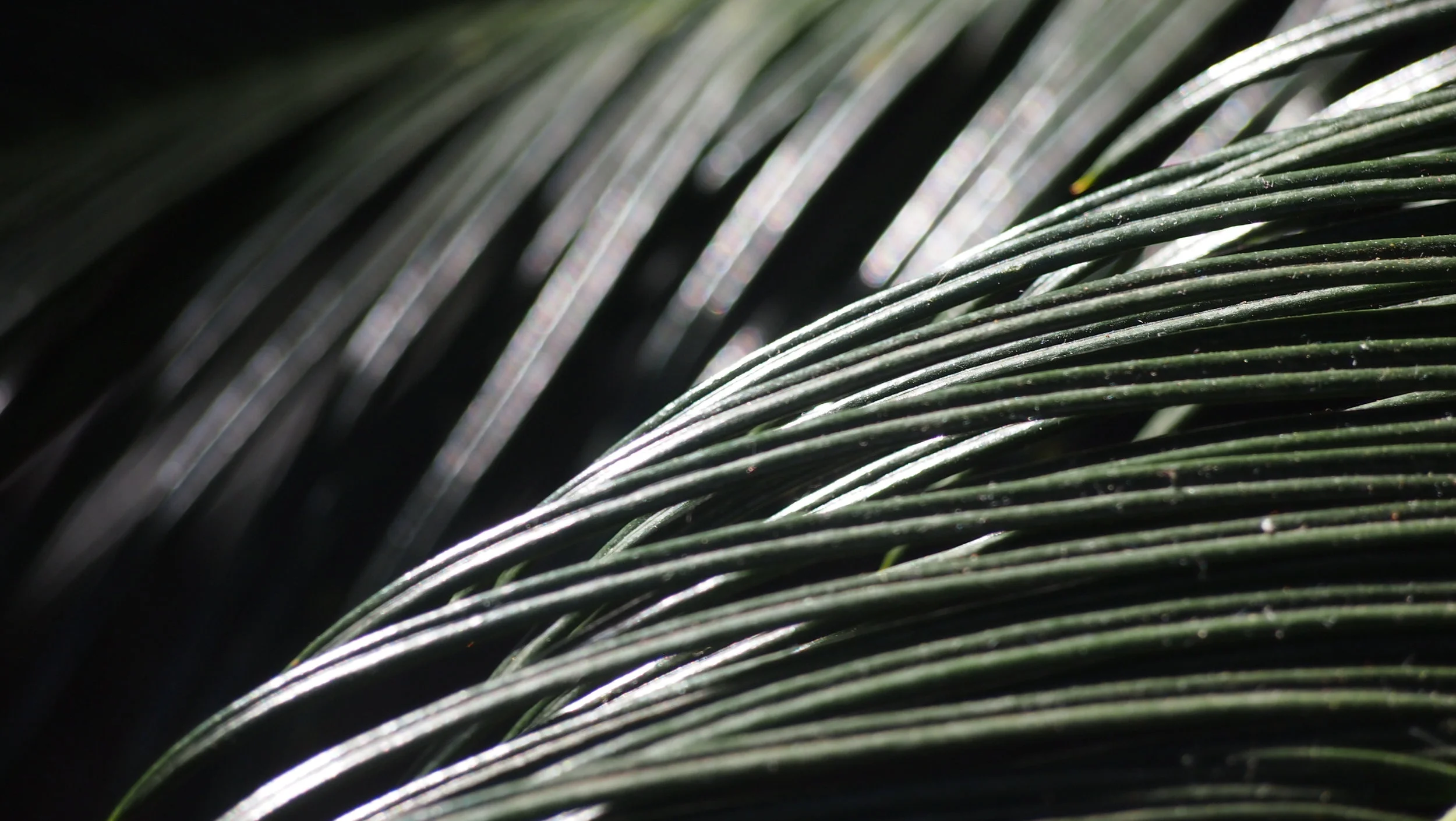 Overlap  $80  P9277922.jpg