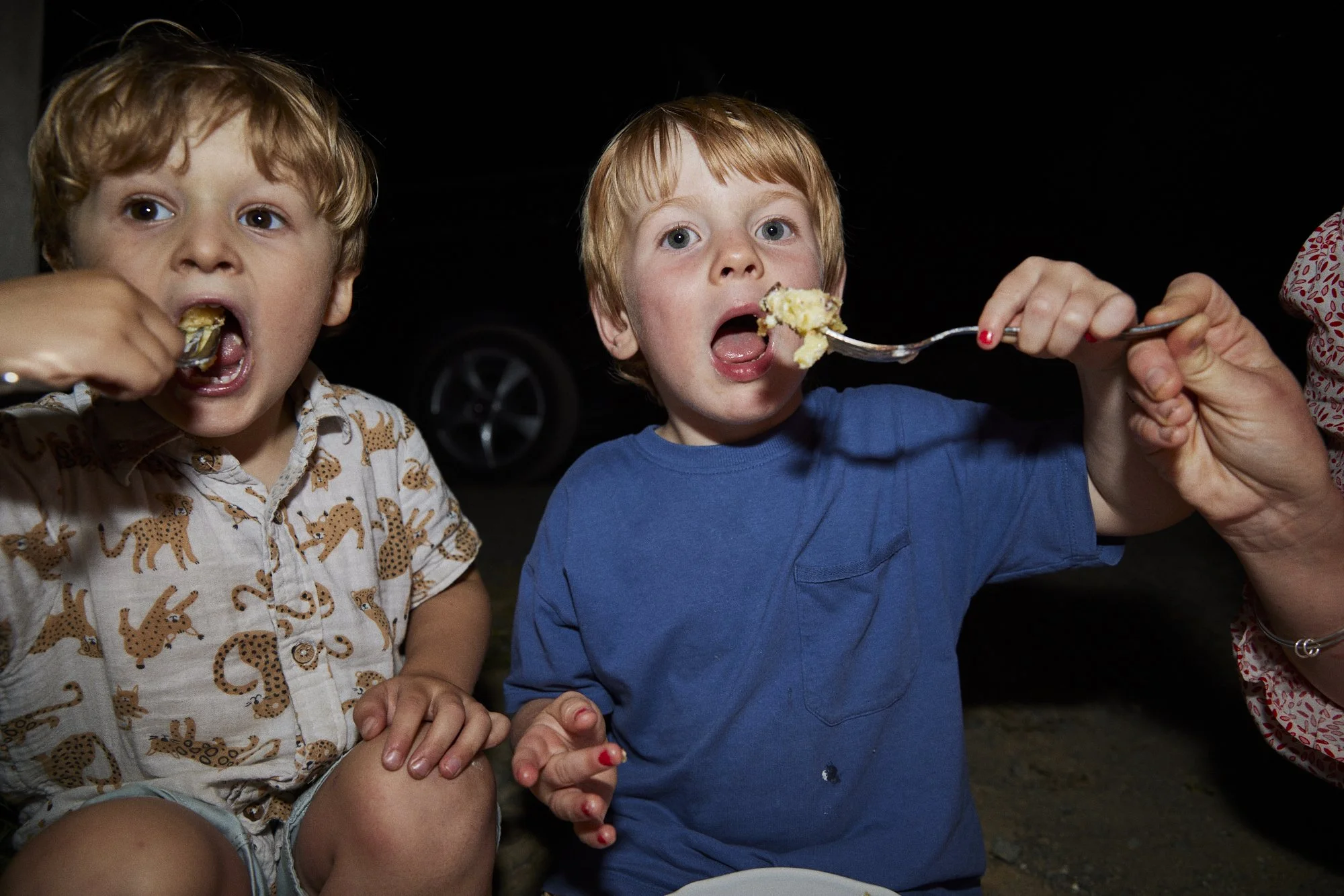 Two young boys, one in a white shirt with animal print and the other in a blue shirt, are eating cake at night, with one boy being fed by an adult's hand.