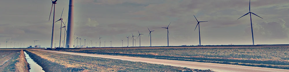 wind.jpg