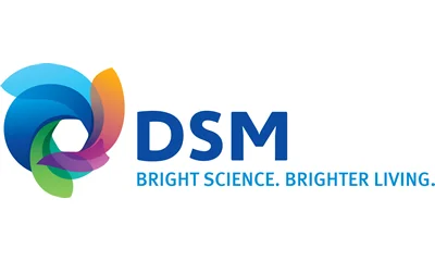 DSM 400x240.jpg
