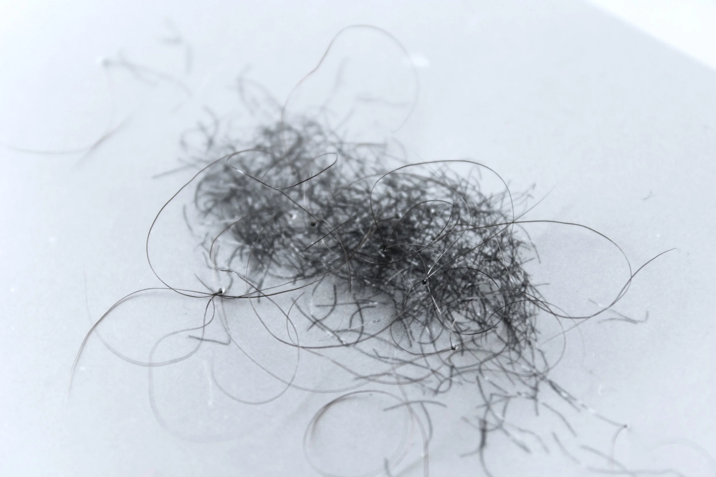 ts_detail_hair.jpg