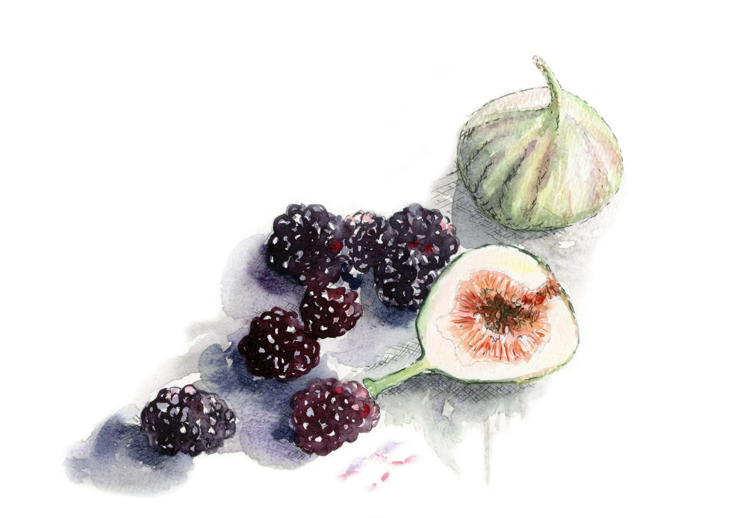 jessica kendrew figs and blackberries white.jpg