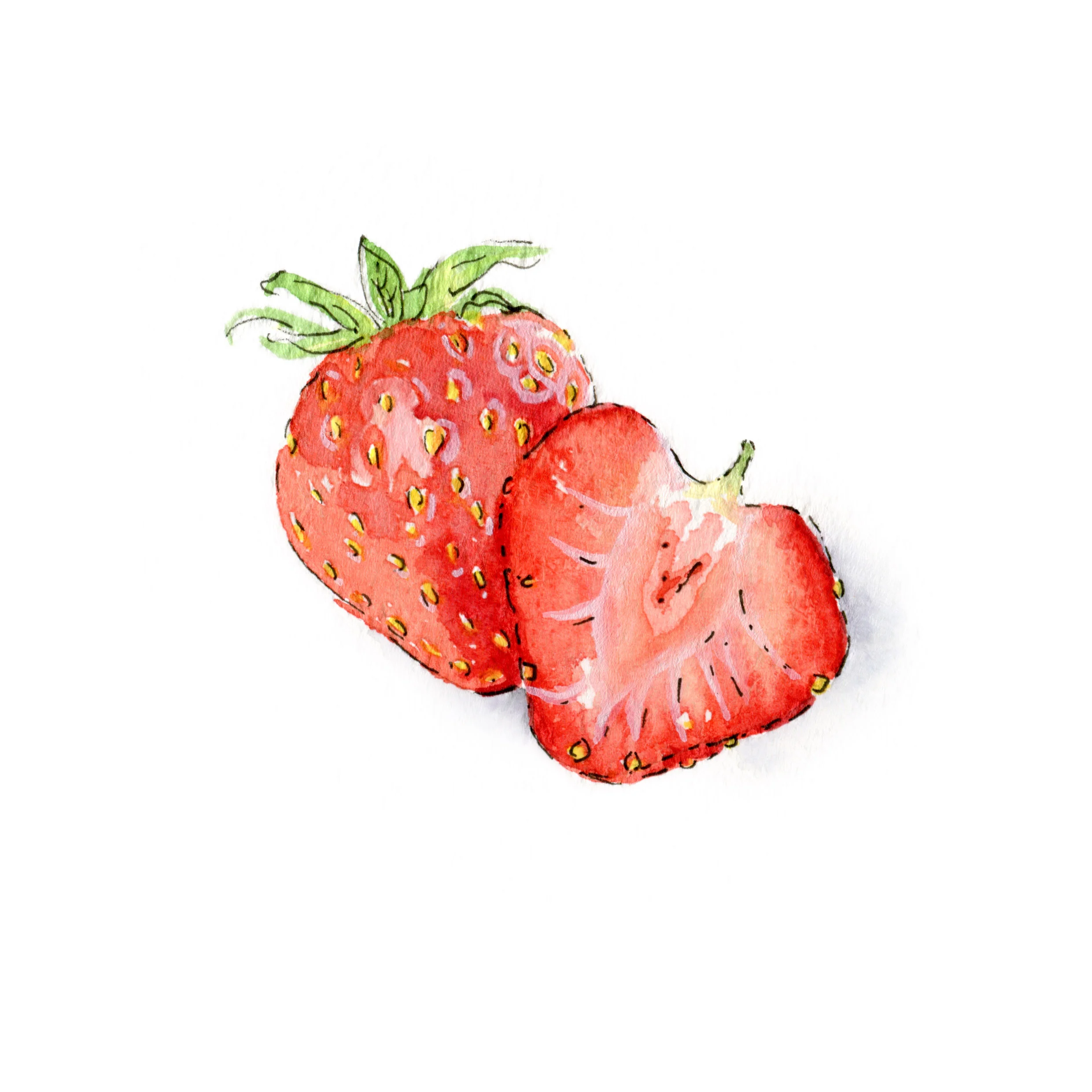jessica kendrew strawberry.jpg