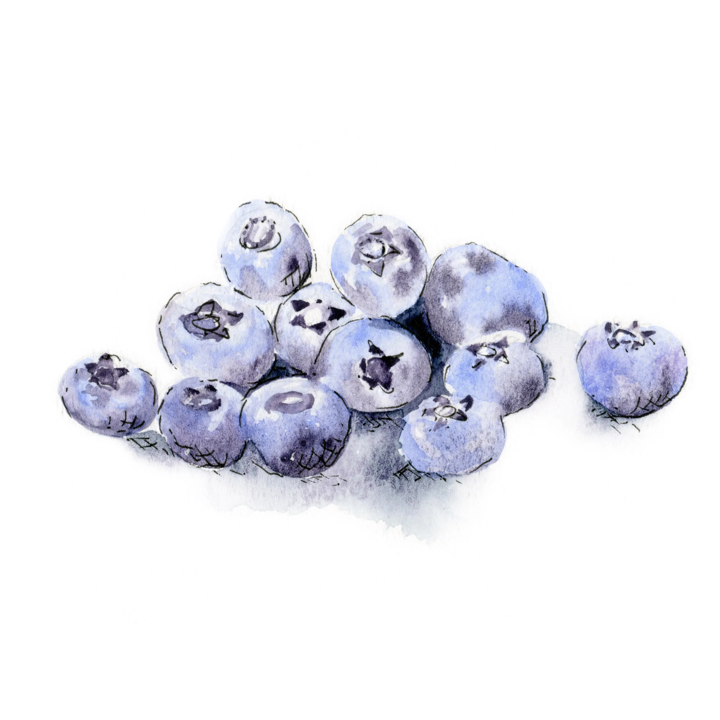 jessica kendrew blueberries.jpg