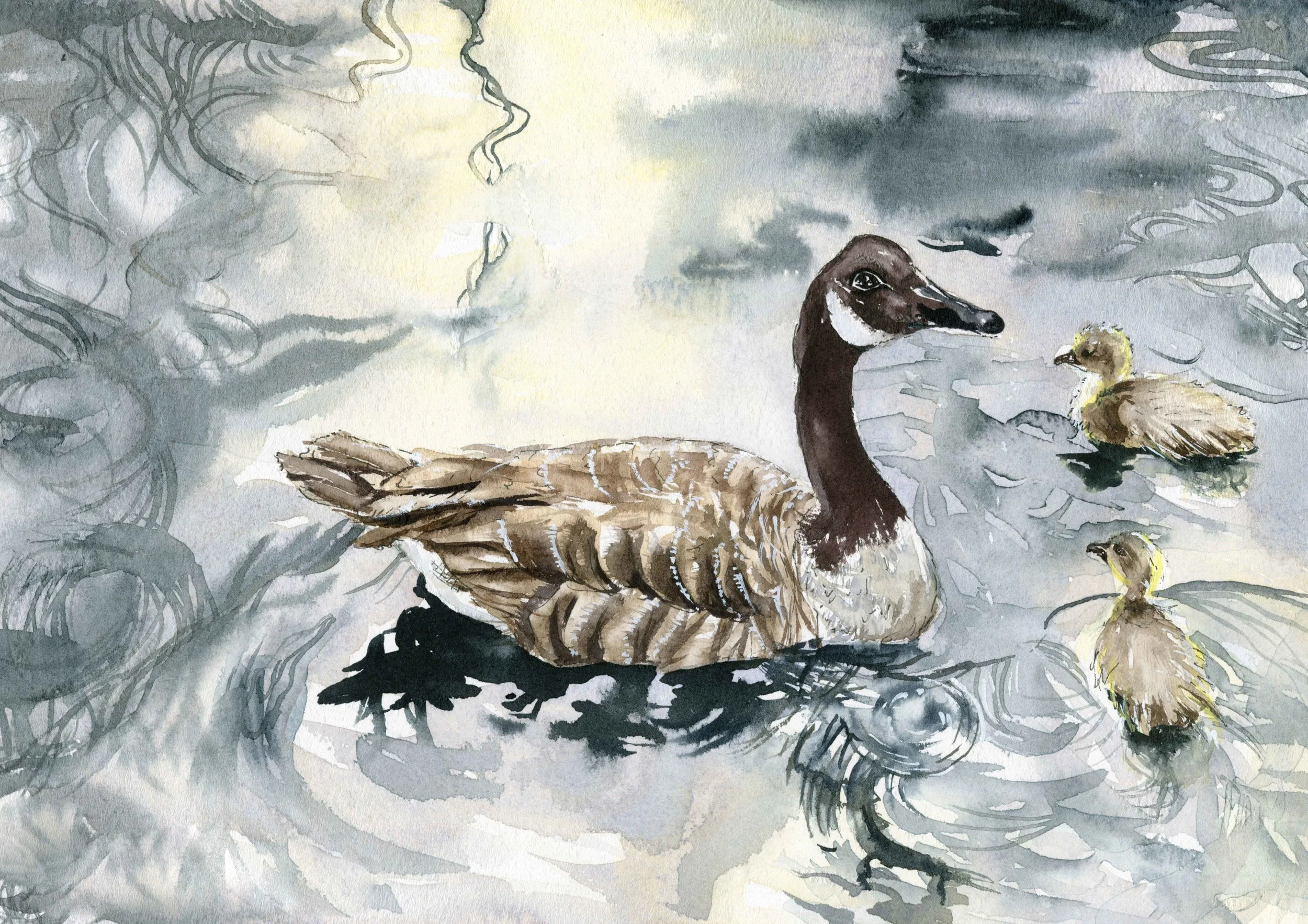 jessica kendrew geese.jpg
