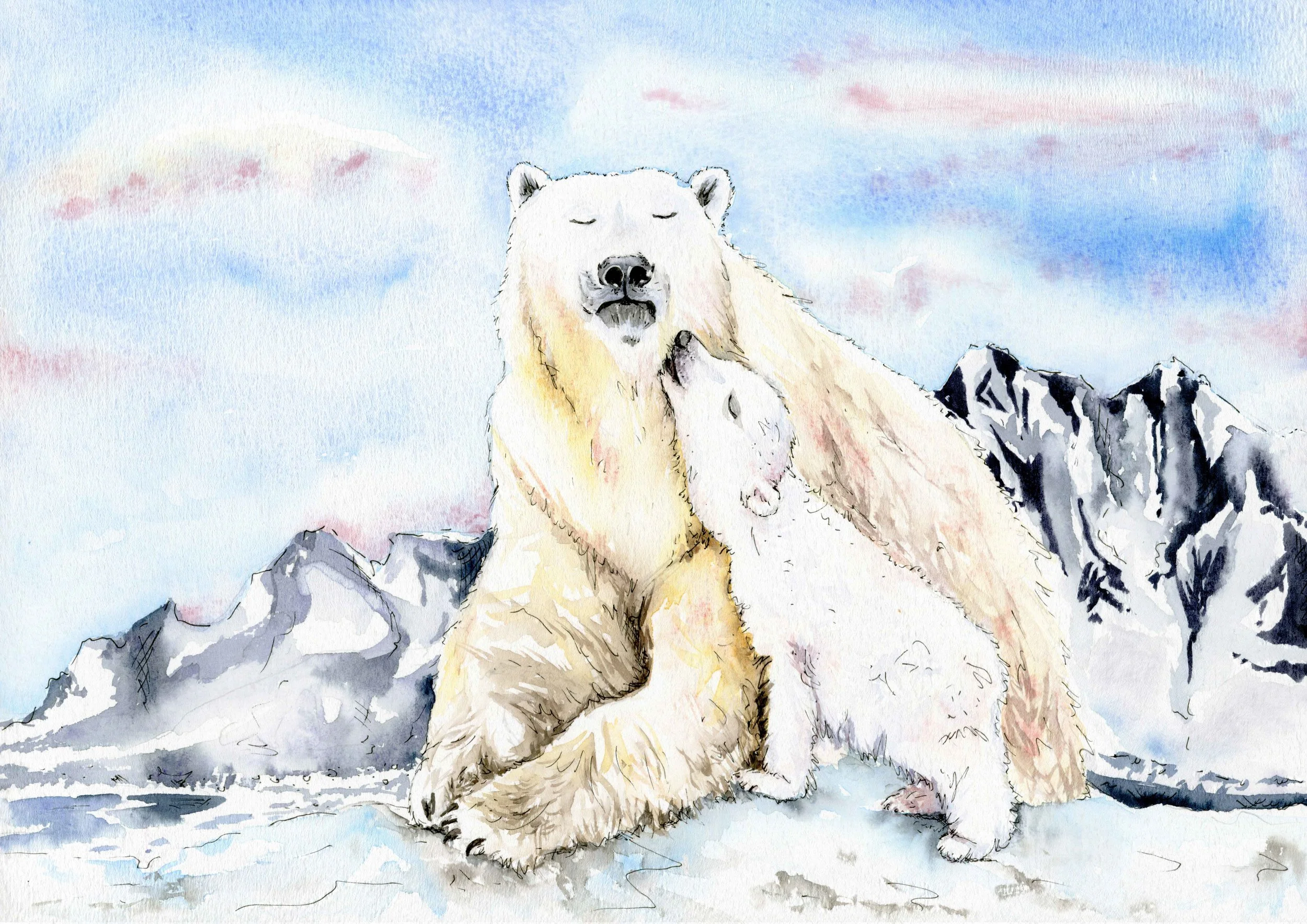 jessica kendrew polar bear.jpg