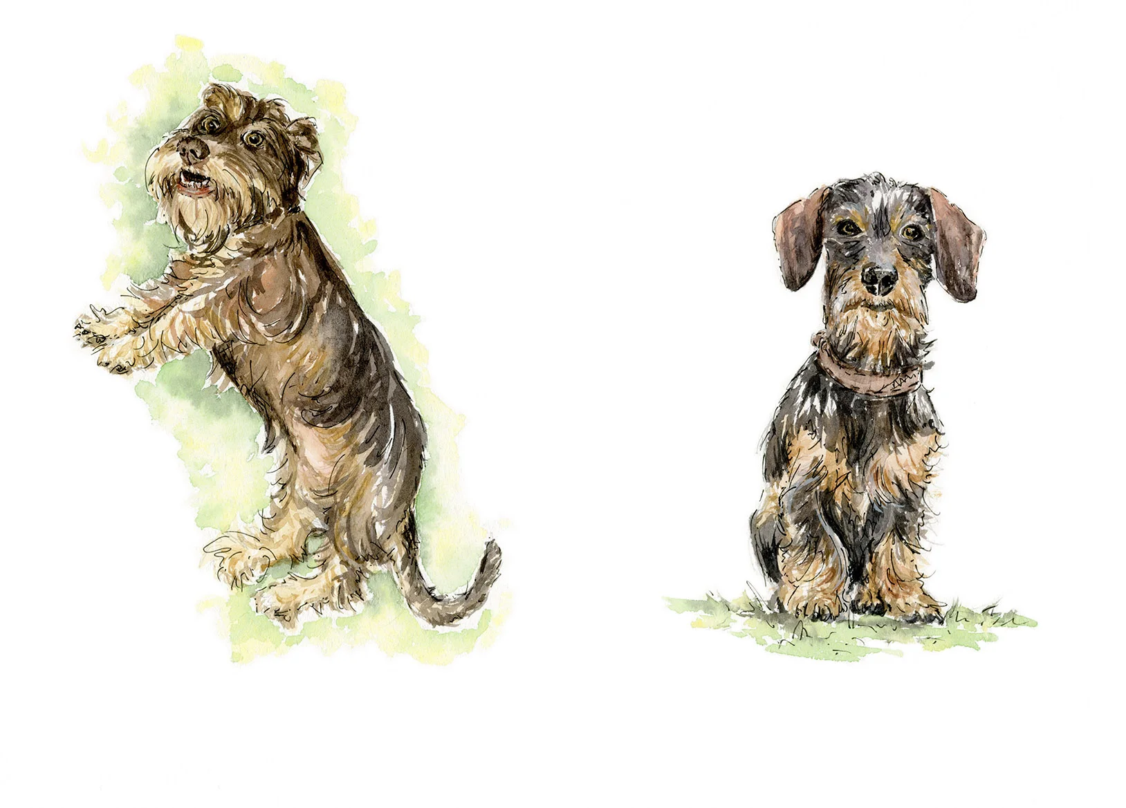 jessica kendrew weenies 3.jpg