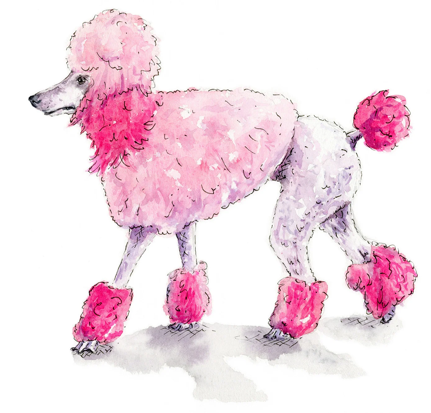 Jessica Kendrew Poodle.jpg