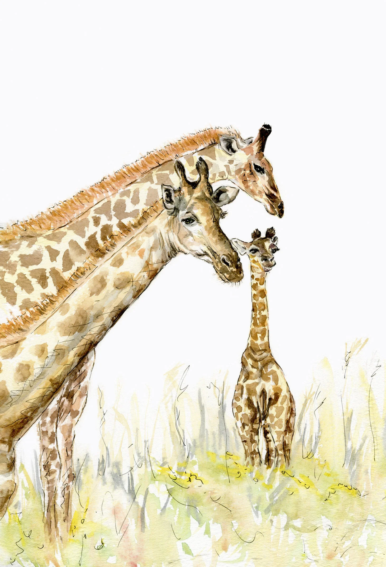 jessica kendrew giraffe family copy.jpg