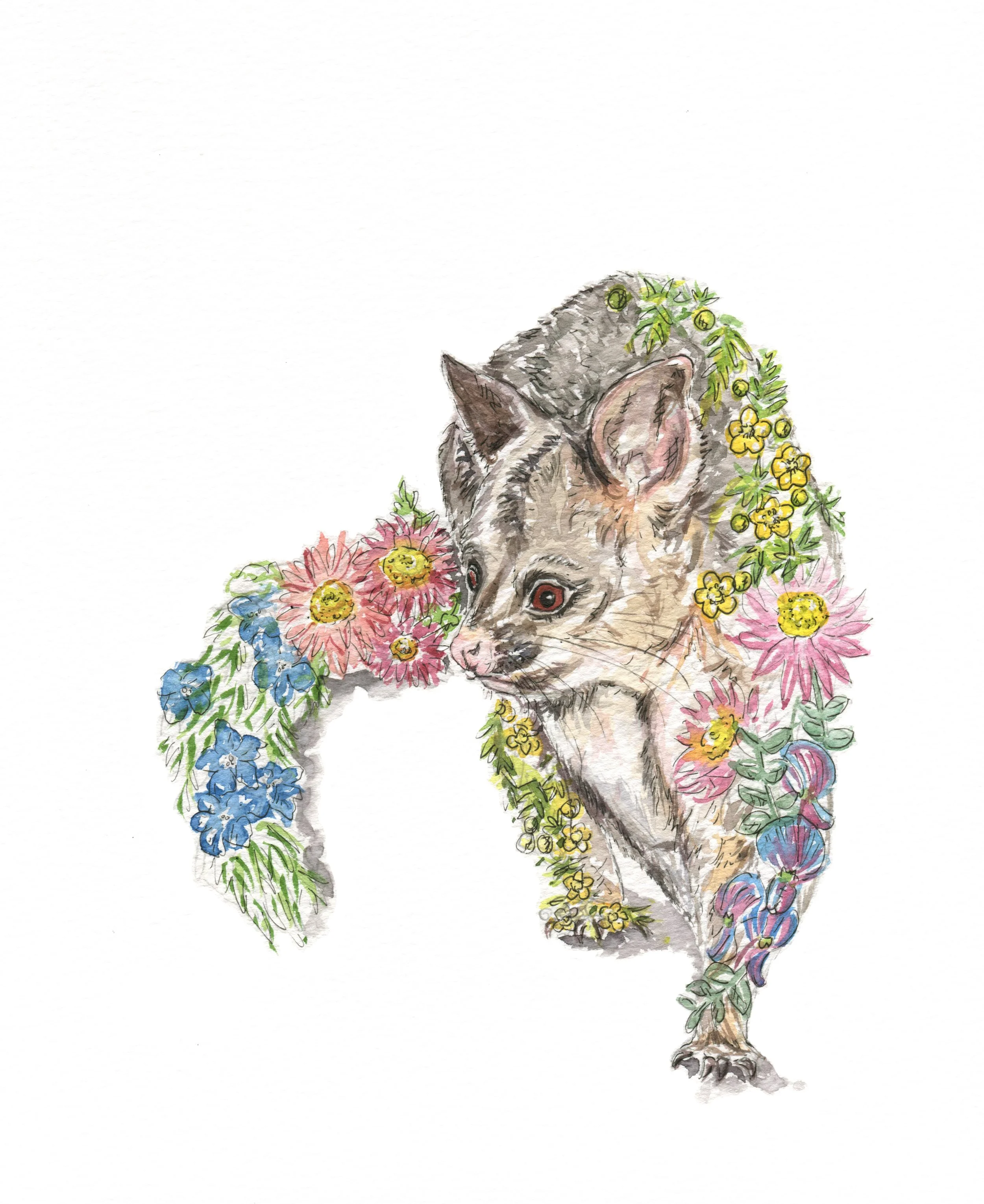 jessica kendrew possum cut out.jpg
