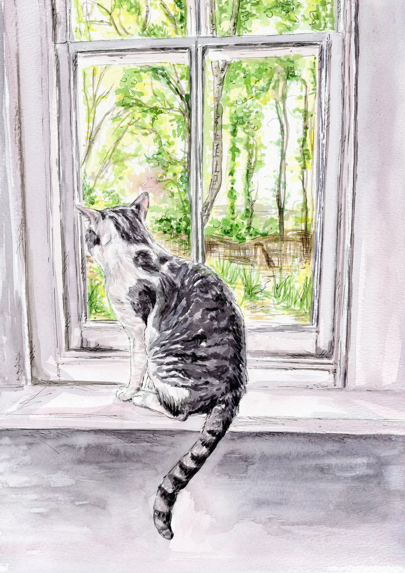 jessica kendrew sam cat lupin copy.jpg