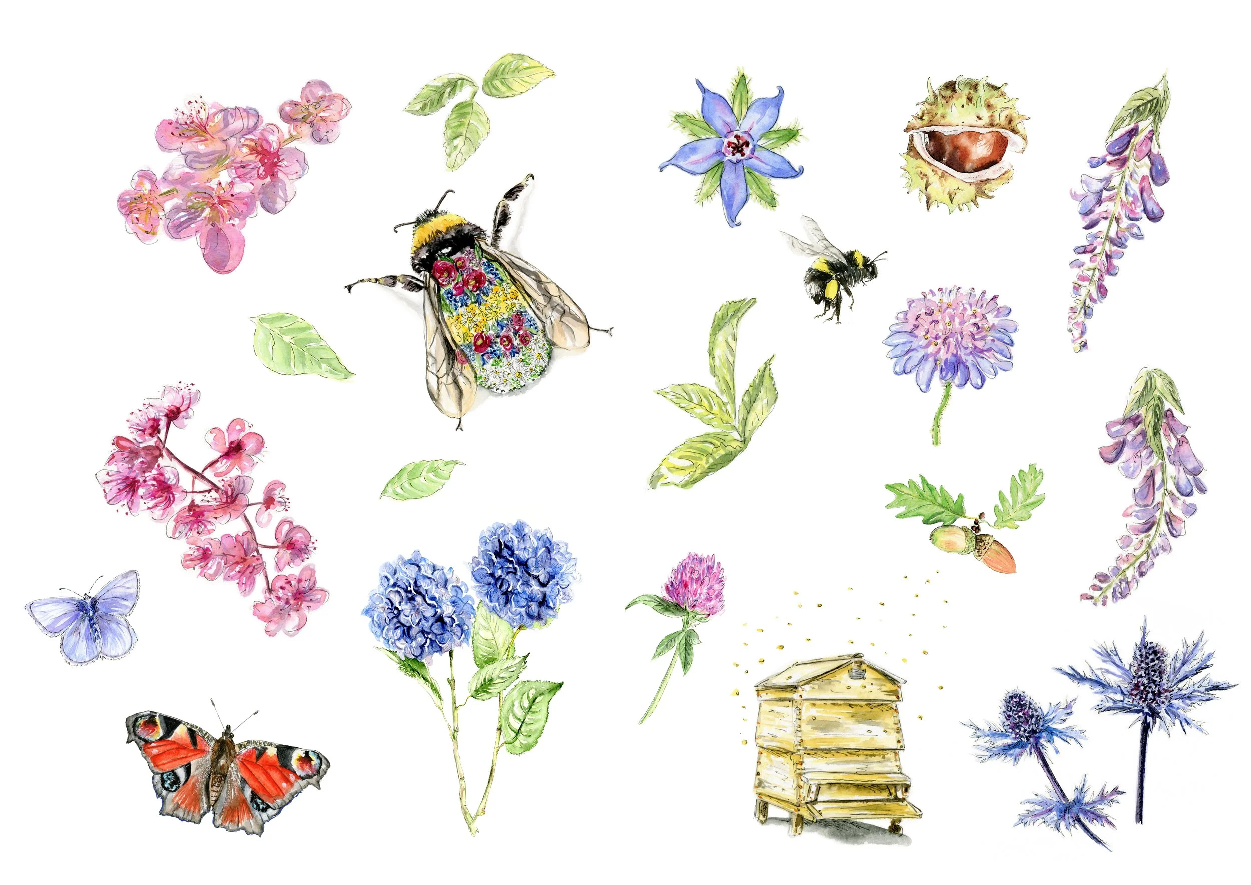 Jessica kendrew nature bits copy.jpg