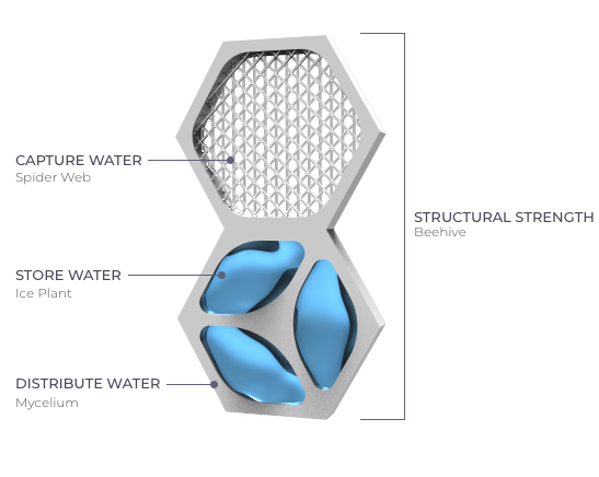 aquaweb diagram.png