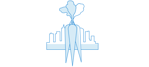 design and establish.png