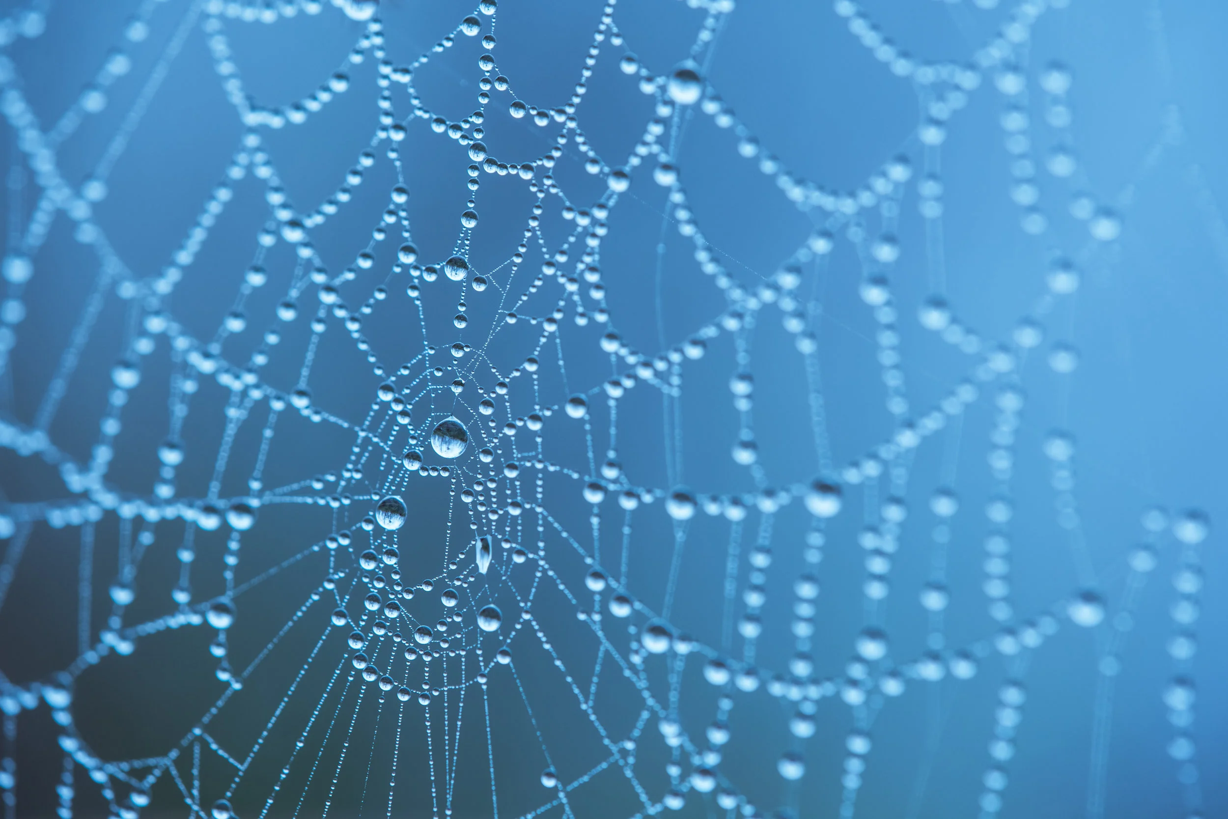 Renewable Water for Sustainable Food