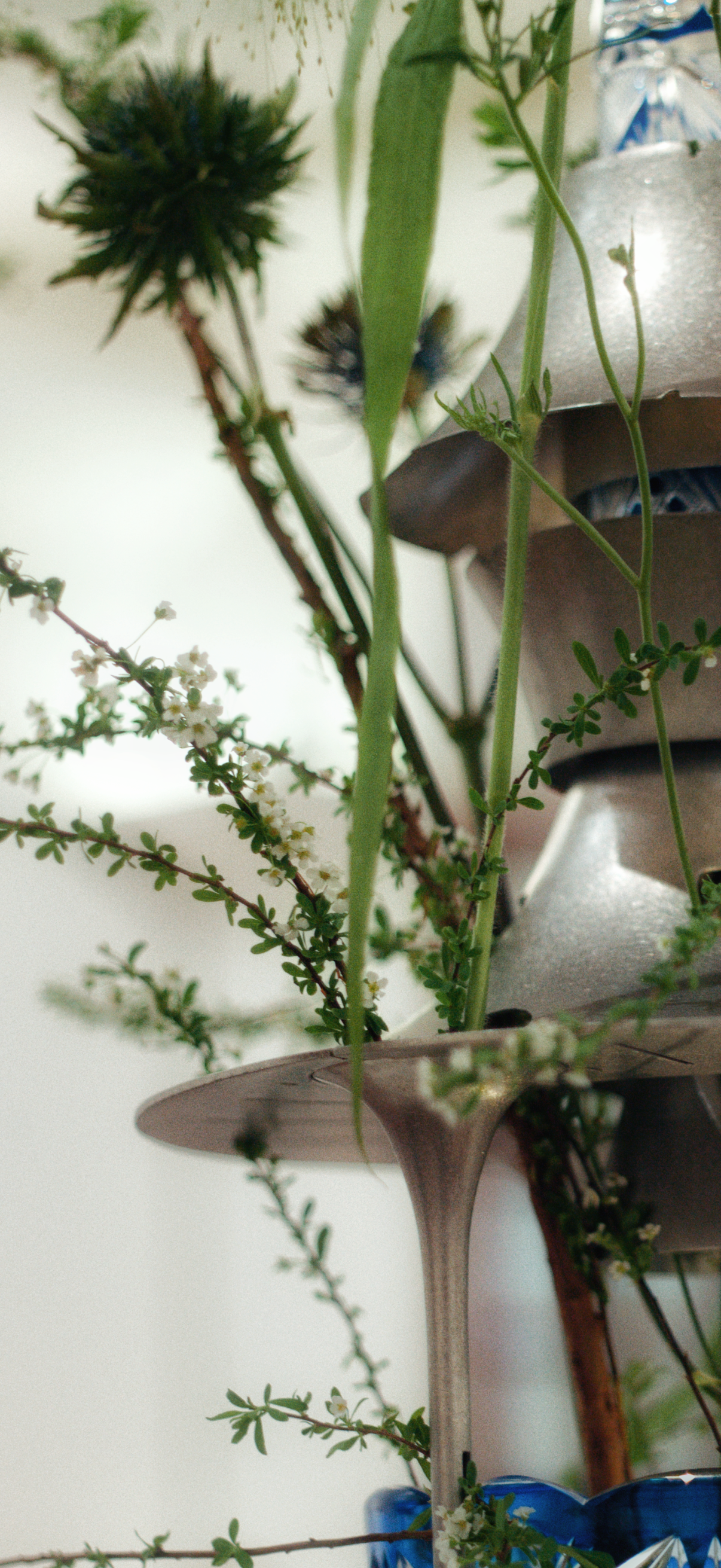 WeChat Image_20260201010758.png