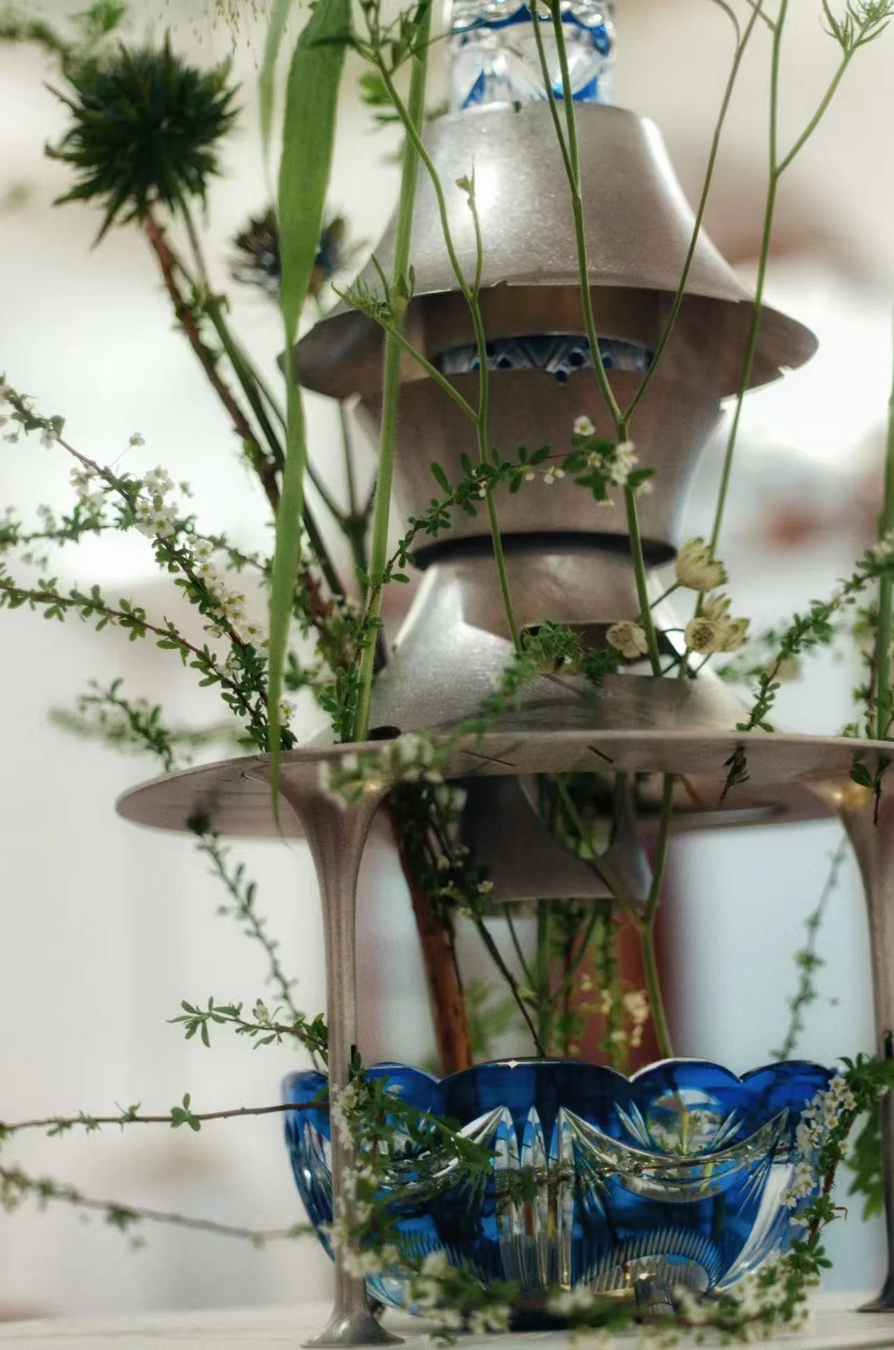 WeChat Image_20260201010751.jpg