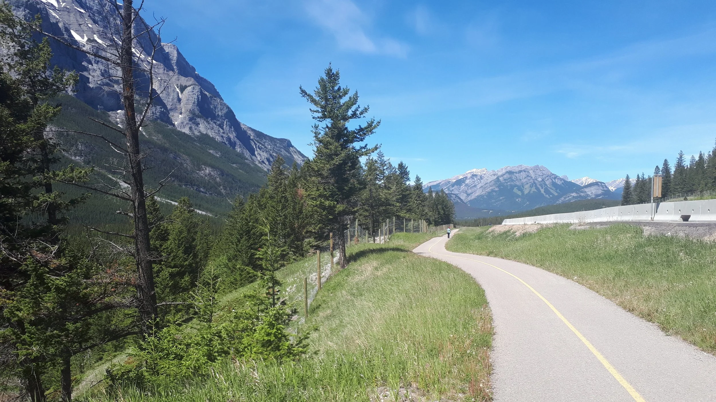 Legacy Trail riding towards Banff.