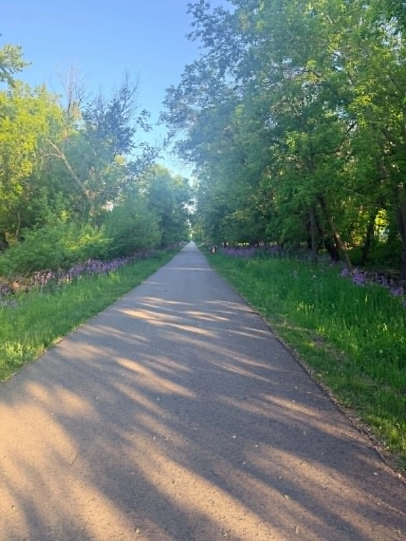 A Shaman Walks this Path - The Healing Path Back to You
