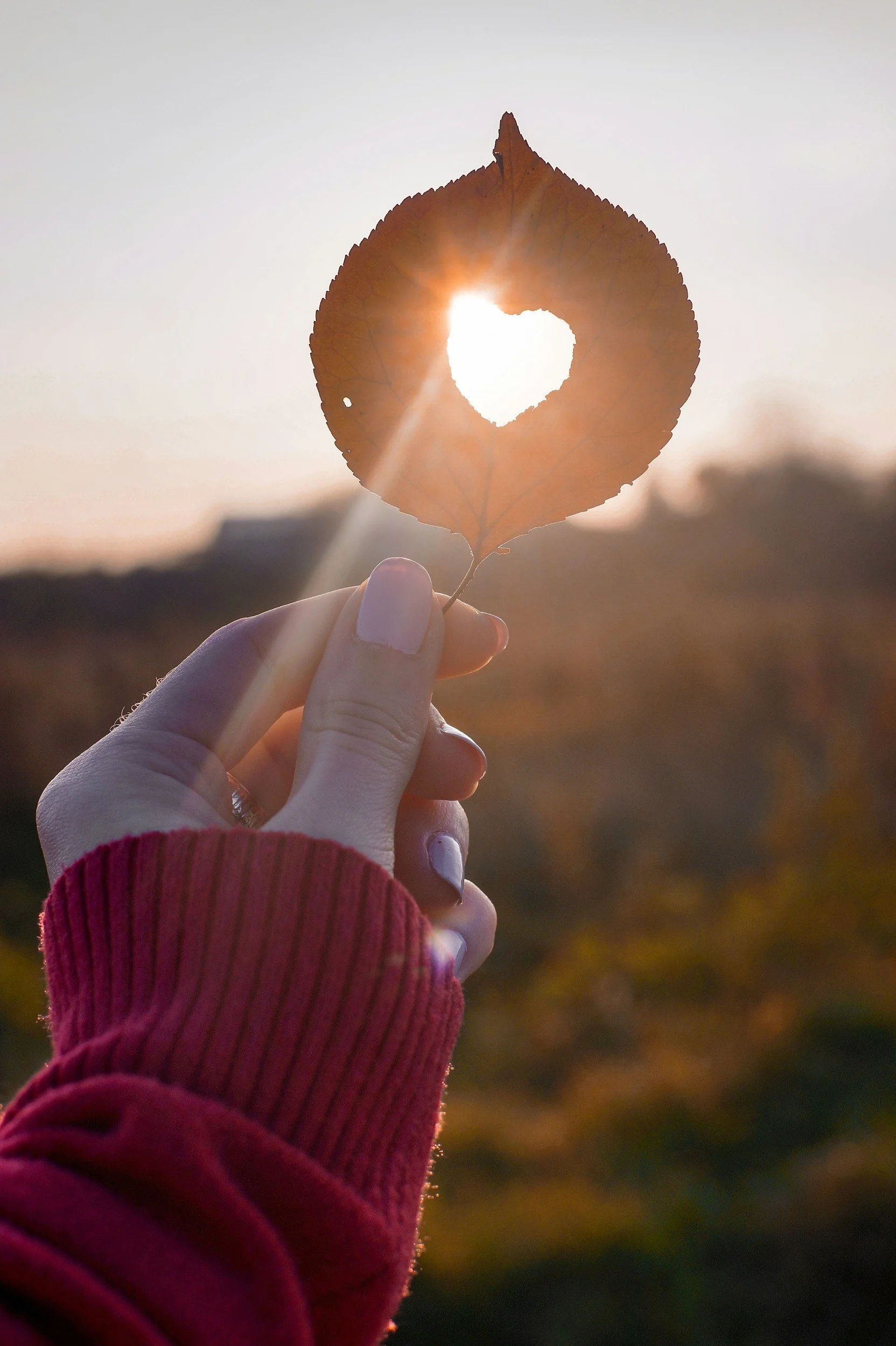A Fall Equinox Reflection &amp; Ritual:  A crumb trail to humanity