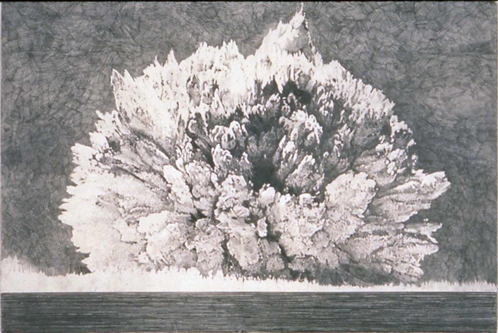 Blast, 1997-1998, Graphite on Paper, 40 x 60 inches, Tang Museum of Art Skidmore College