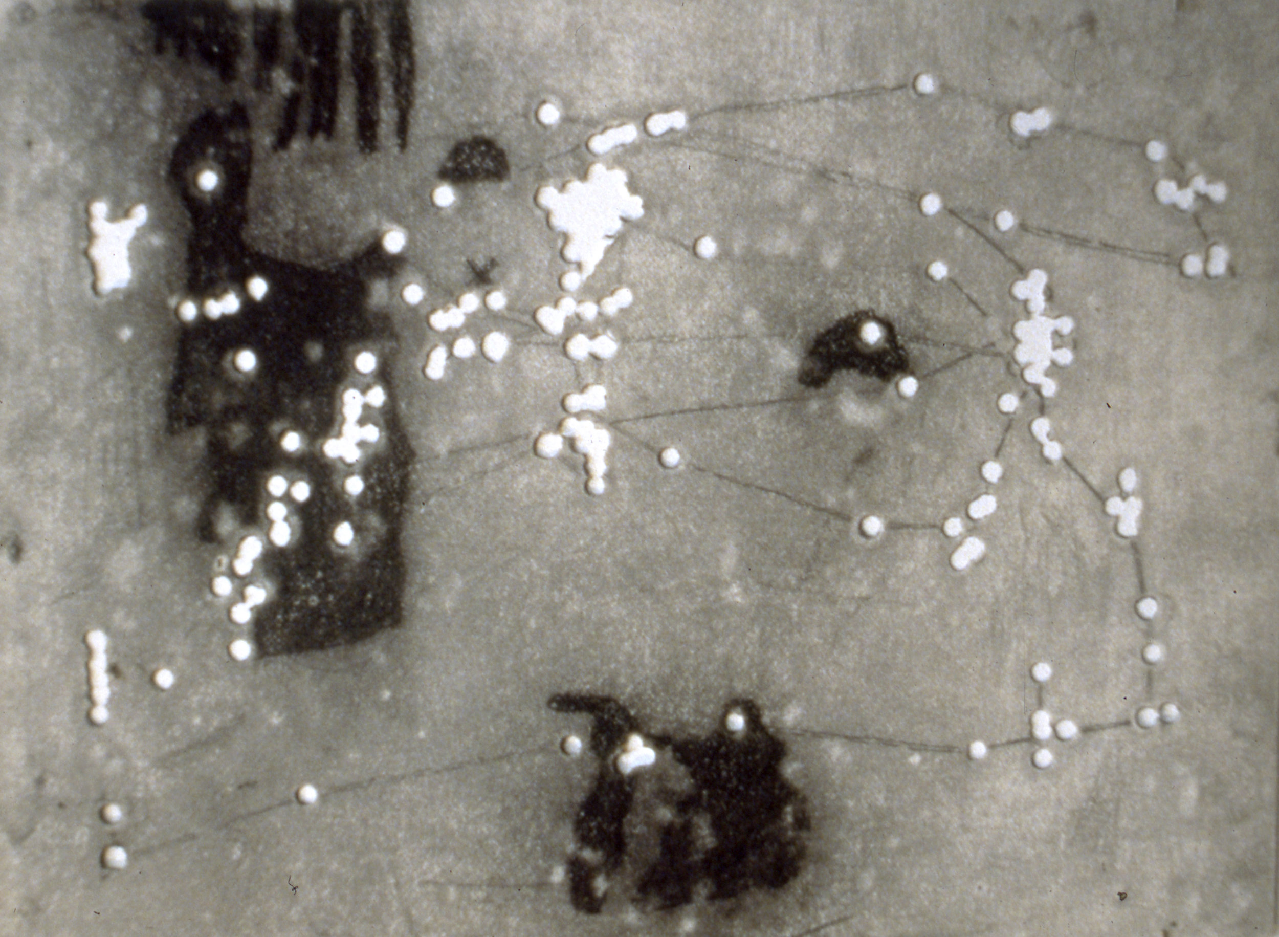 REM 1, 1996-97, Graphite on paper with holes, 15 x 20 inches