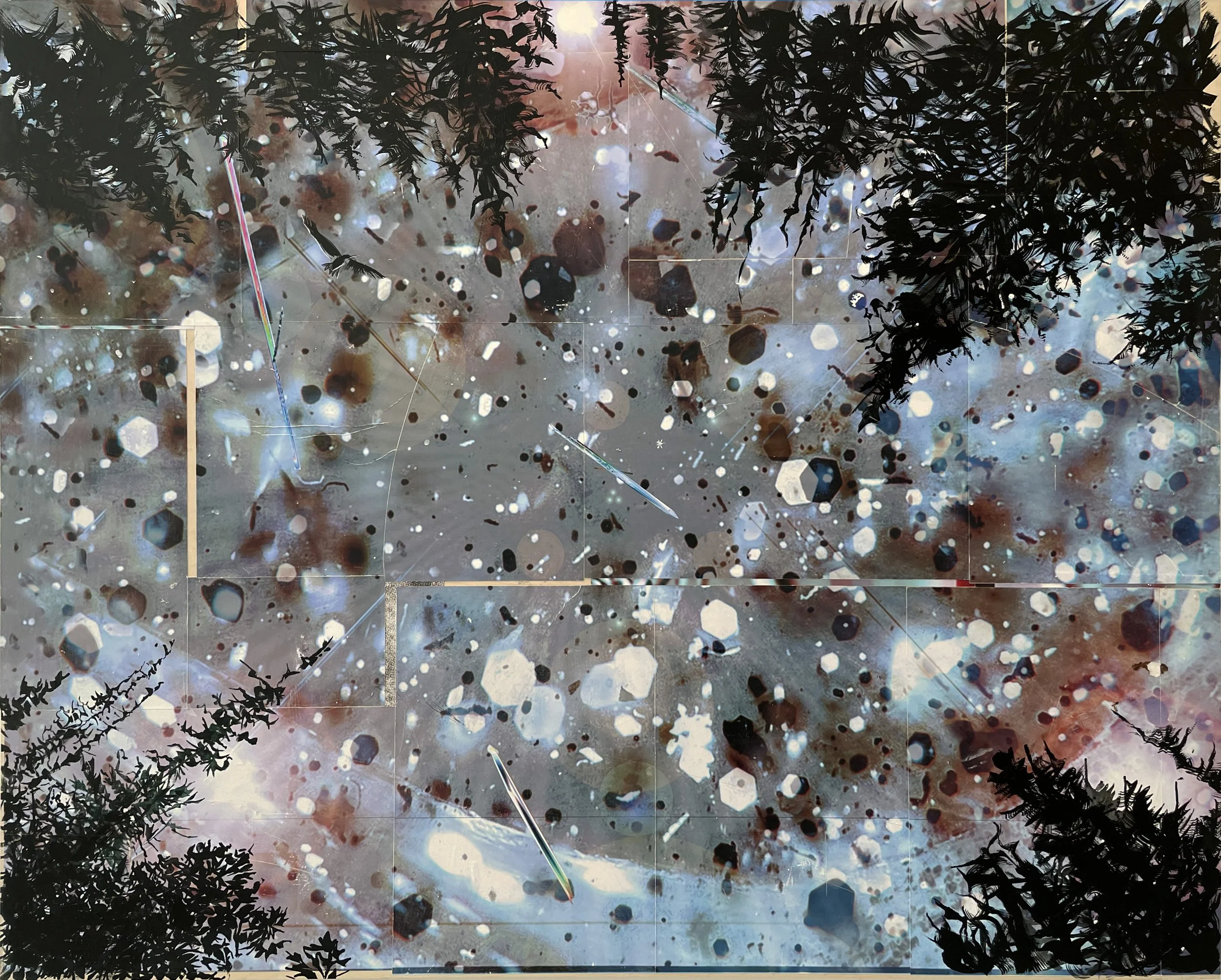 Strange Angel (Blackbird), 2023, Mixed Media Painting on Wood Panel; 48 x 60 inches