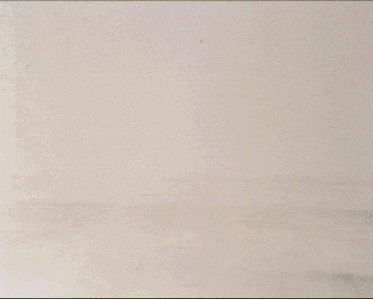 SM-VAPORMAX.gif