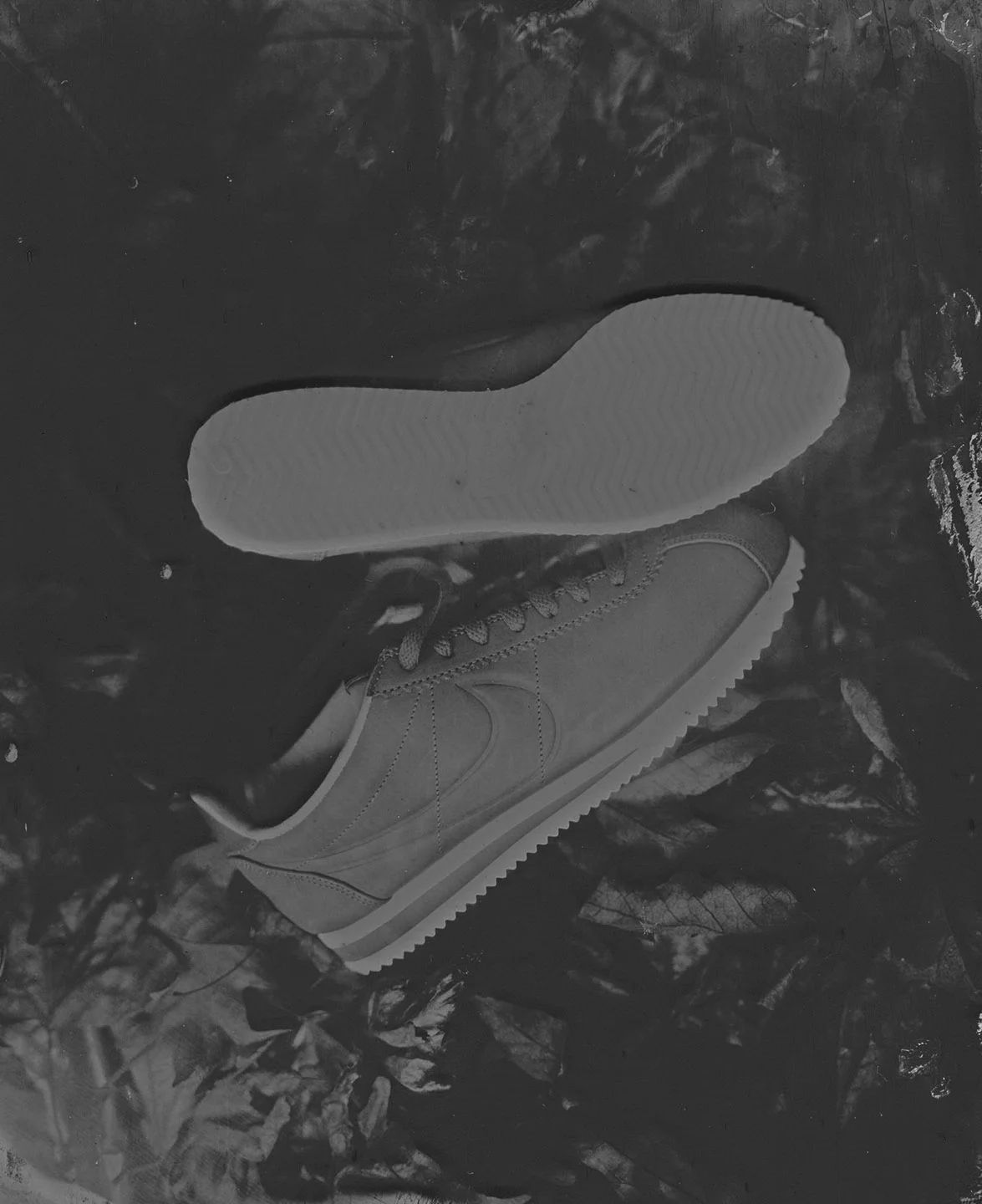 lacortez-_0009_Layer Comp 10-2.jpg