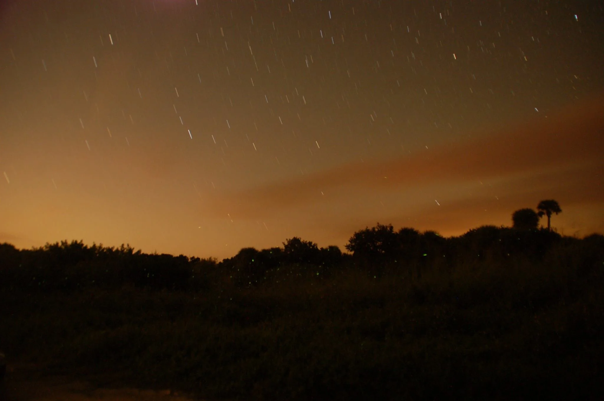 KSCAA Star Parties Image 3.jpg