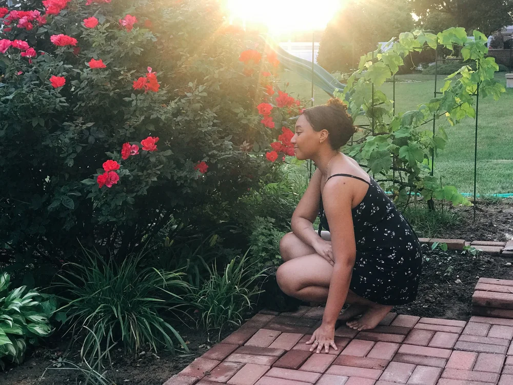  It was gorgeous outside in the early evening 