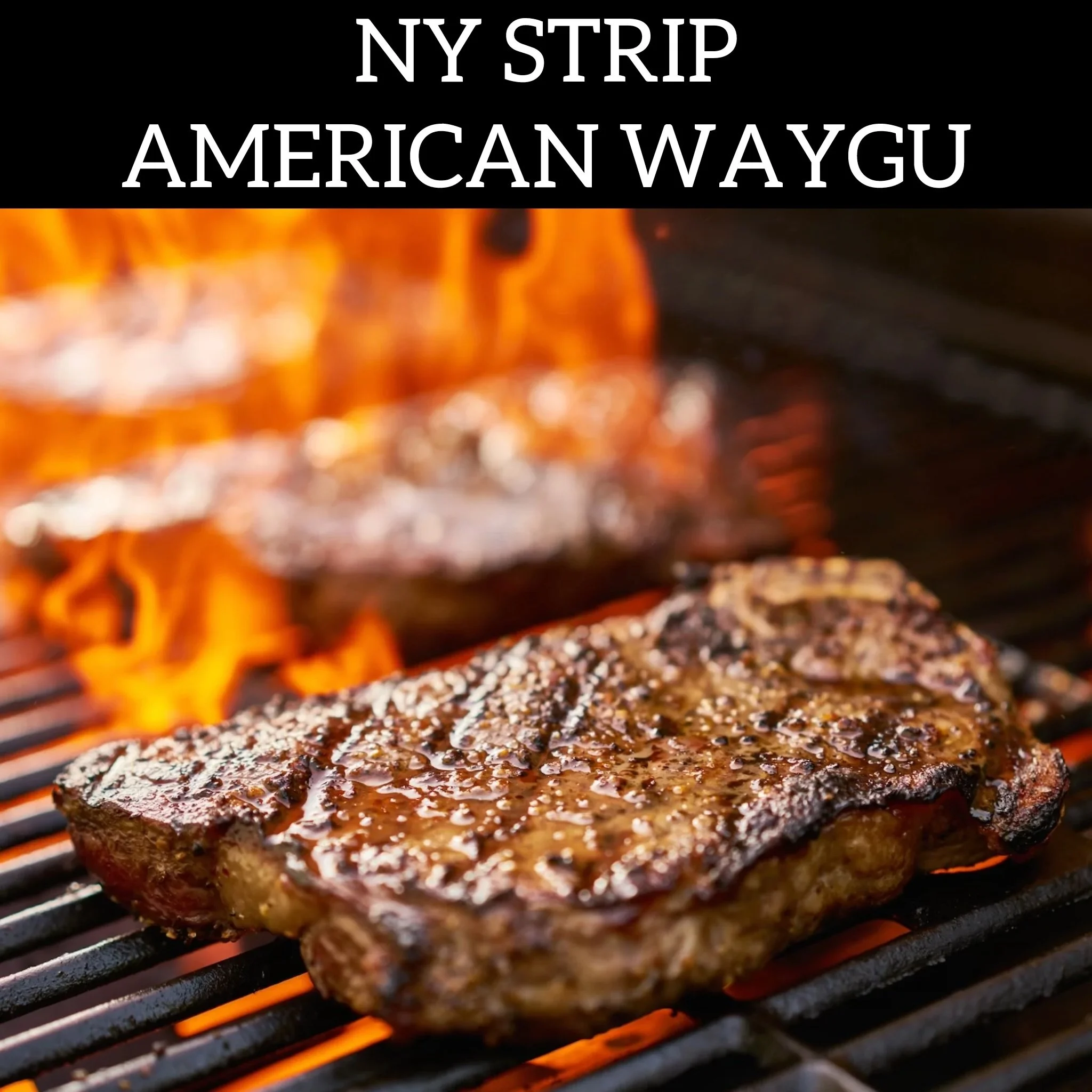 NY STRIP.jpg