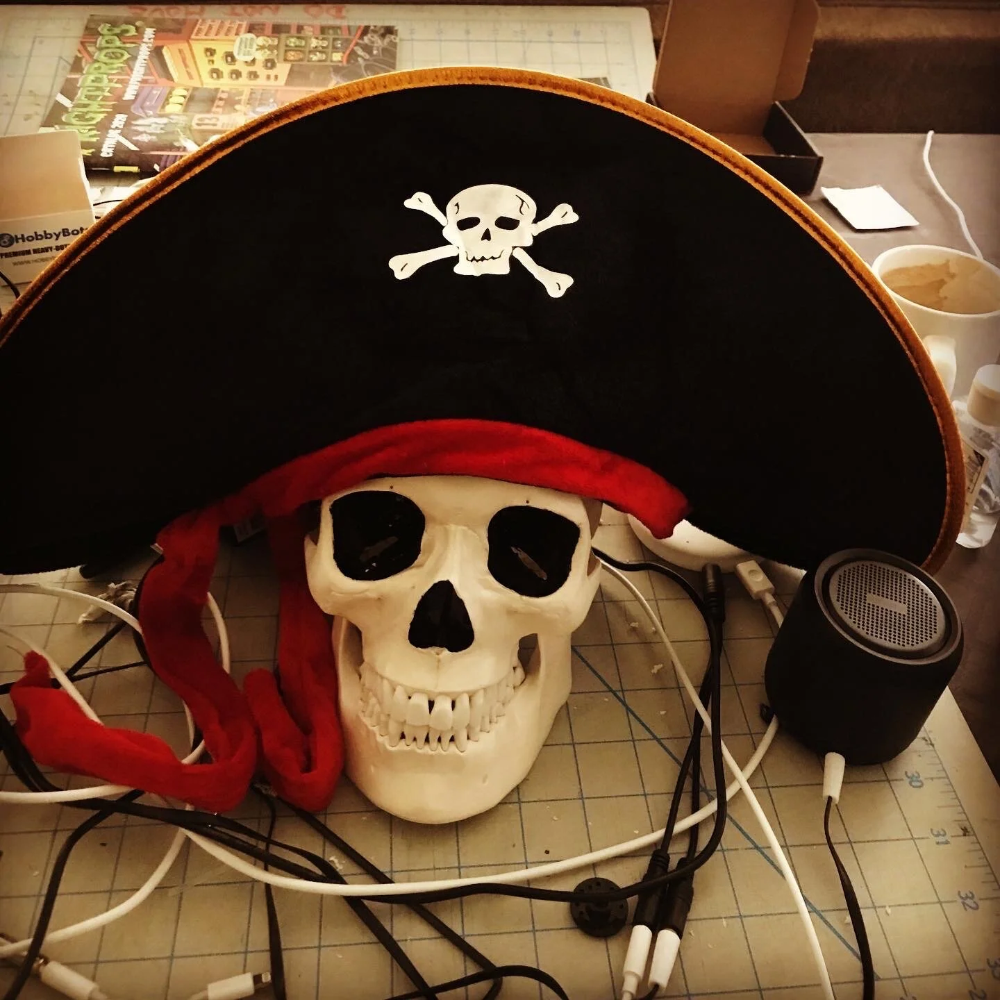 SAR_Skull_4.JPG