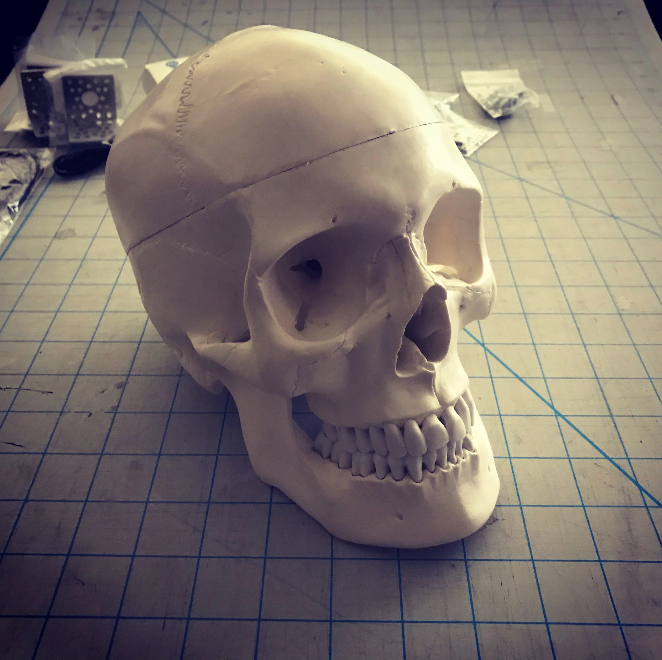 SAR_Skull_1.JPG