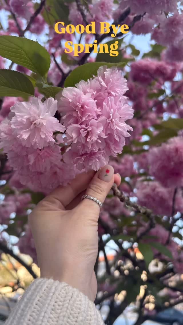 The forecast says its going to rain all week and wash the flowers away. 😢
But I can&rsquo;t wait for it to be summer! ☀️