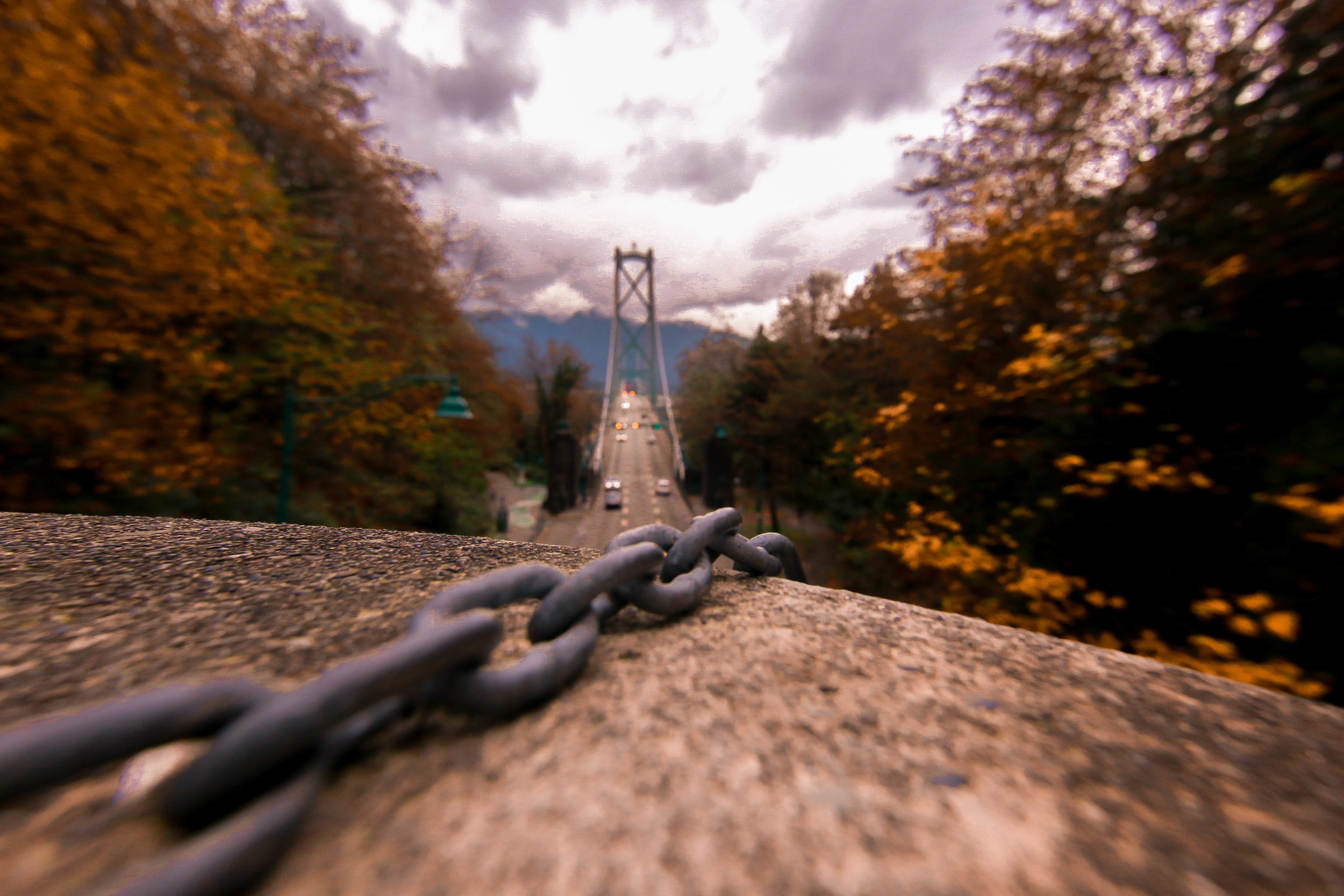 _MG_3972.jpg