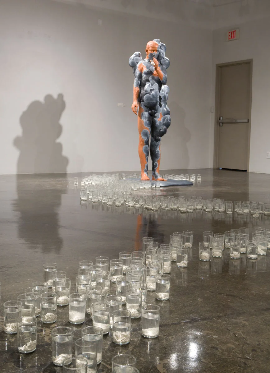 Conspicuous Consumption (Installation view)
