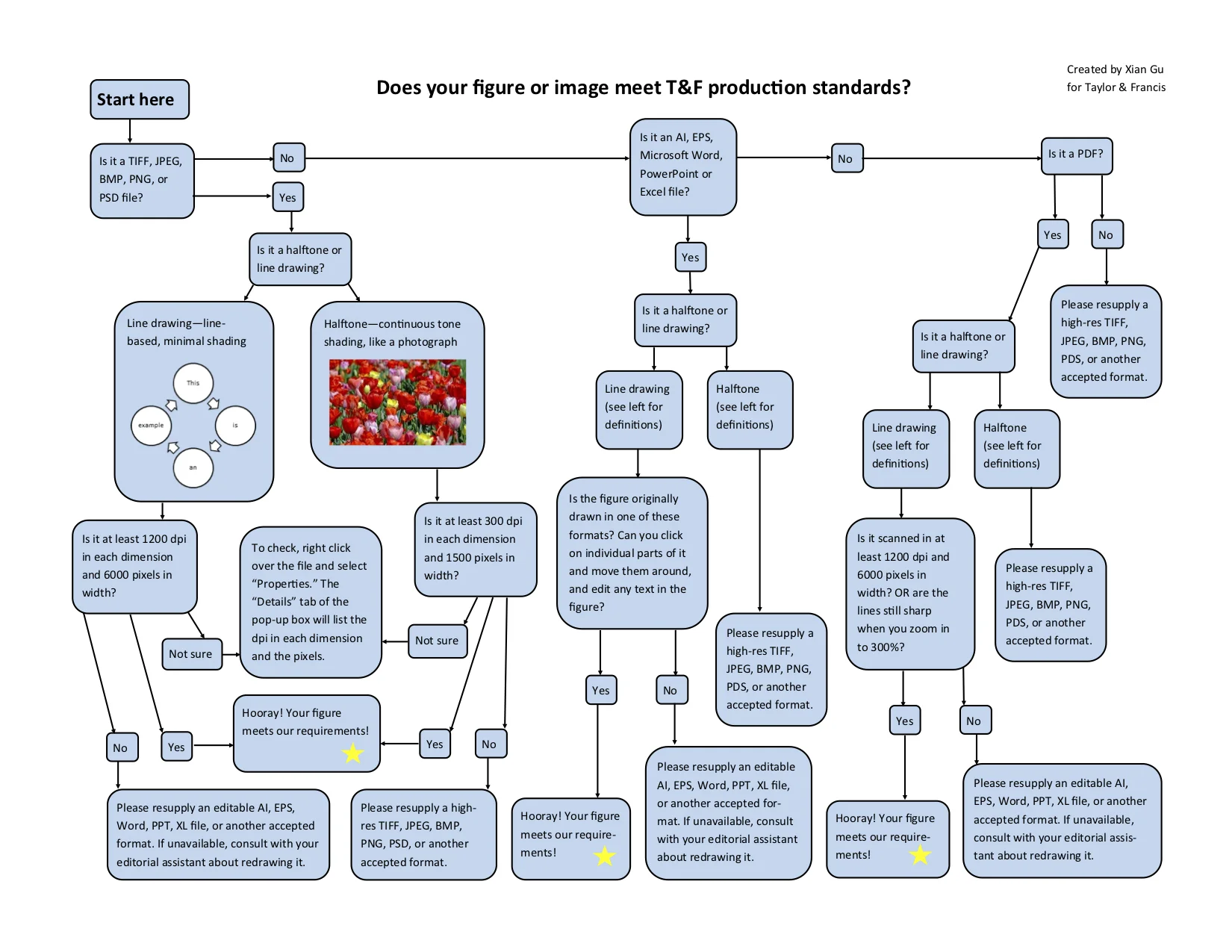 Figure & Image Flow Chart