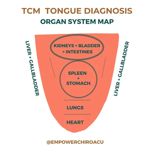 What Does Your Tongue Say About Your Health Empower Chiropractic Acupuncture
