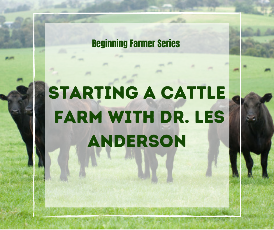 Beginner Farmer Series Starting a Cattle Farm — Kentucky Center for