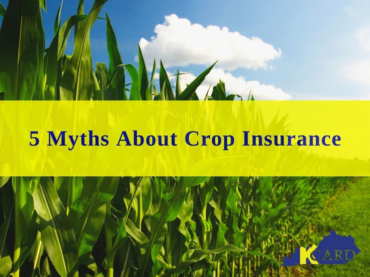 5 Myths About Crop Insurance — Kentucky Center for Agriculture and Rural  Development