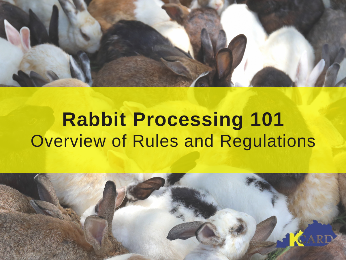 Rabbit Processing 101 — Kentucky Center for Agriculture and Rural ...