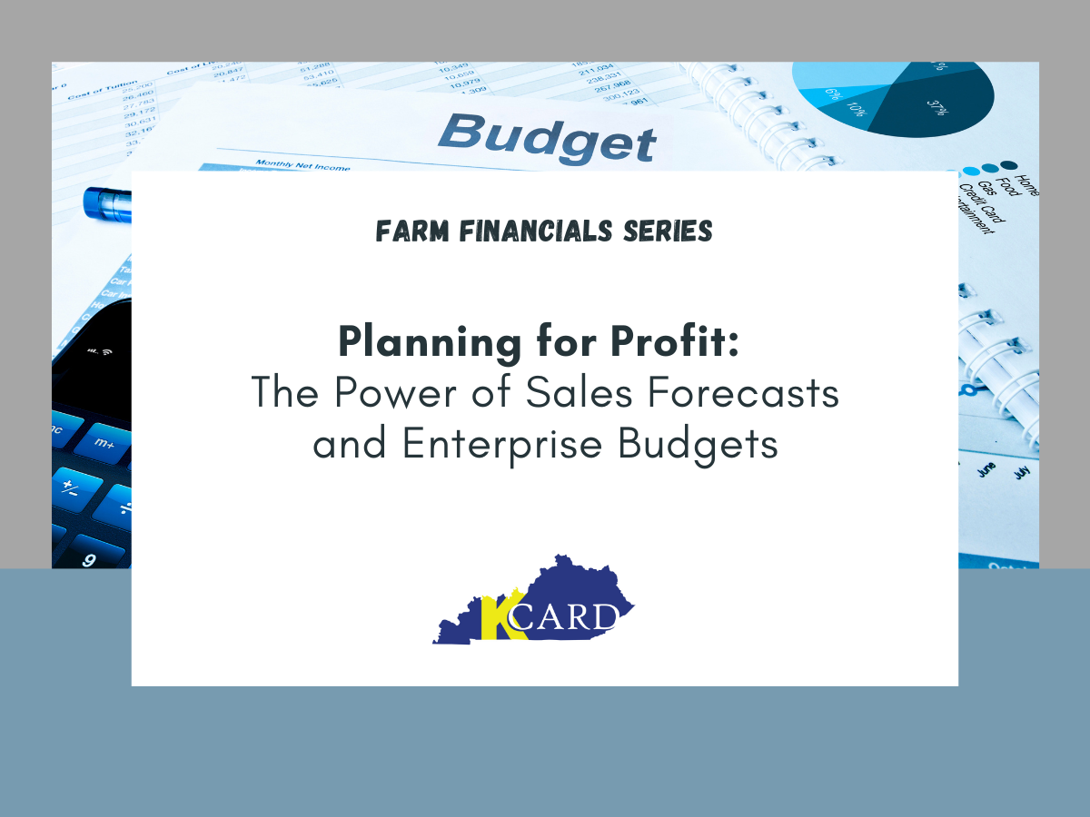 Planning for Profit: The Power of Sales Forecasts and Enterprise ...