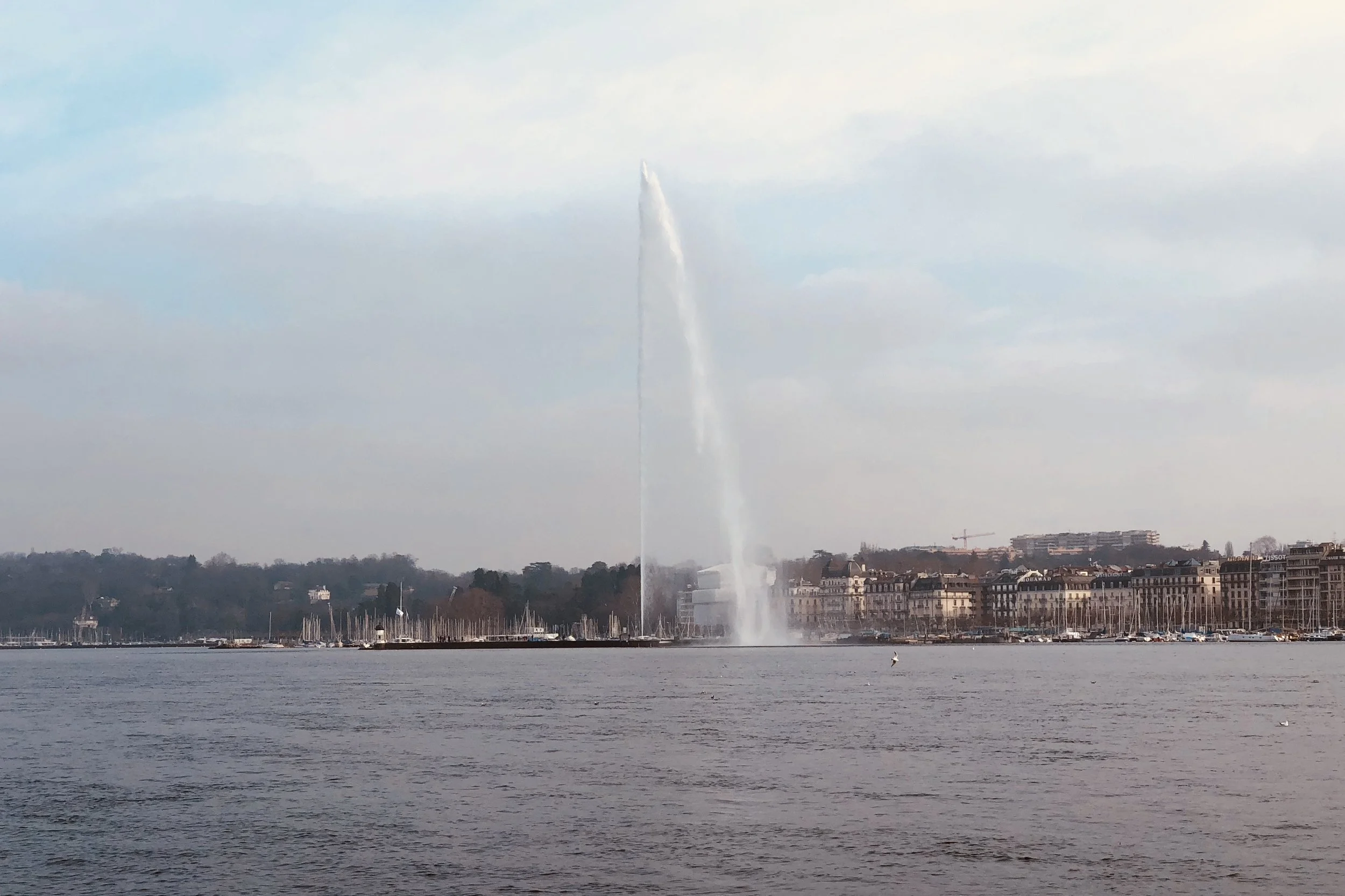 A Look Back At SIHH 2017...