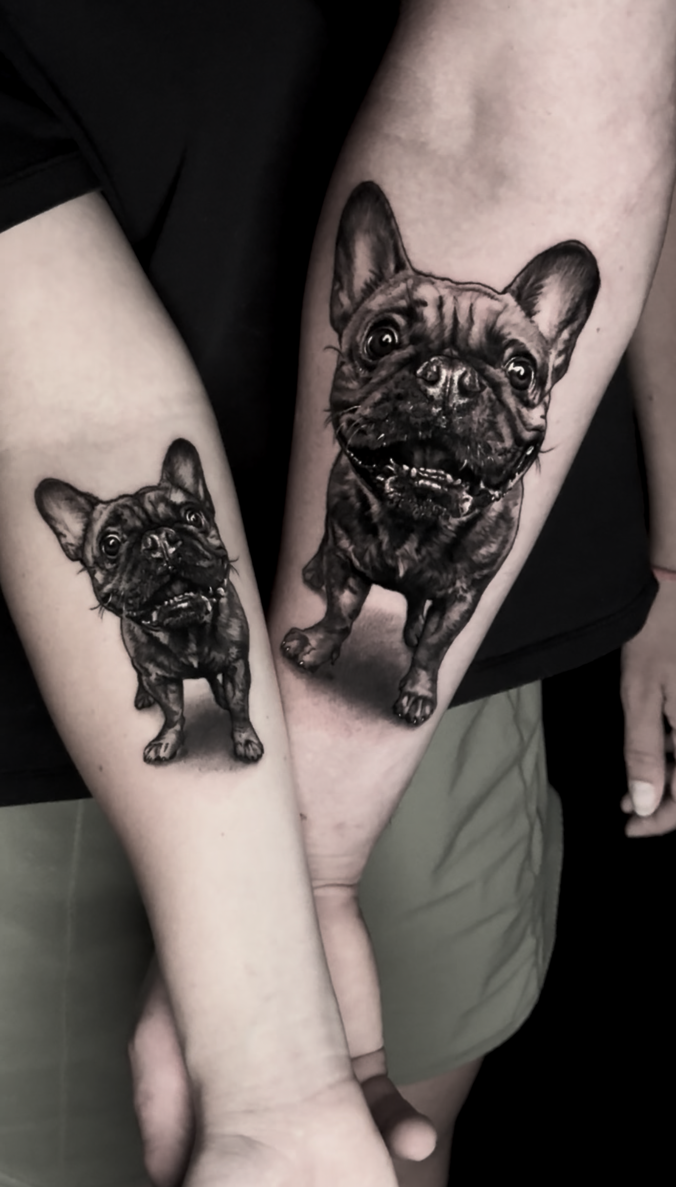 black-and-grey-realism-french-bulldog-portrait-tattoo.png